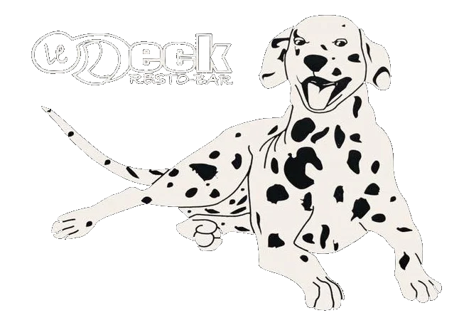 Deck-Logo-de-SpotTrans